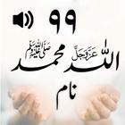 99 Names Allah Muhammad(PBUH) icône