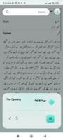 Tafseer-e-Namoona Screenshot 2