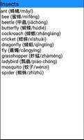 Word List পোস্টার
