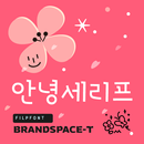 BST HiSerif™ Korean Flipfont APK