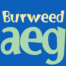 Burweed FlipFont APK
