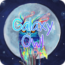 Galaxy Owl Font for FlipFont,C aplikacja