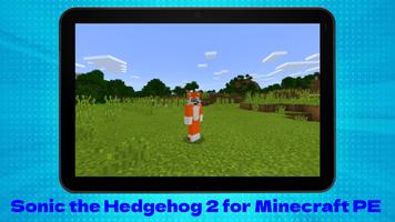 Sonic the Hedgehog 2 for MCPE Ekran Görüntüsü 2