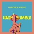 Haunisumbui - Diamond Platnumz Chibu