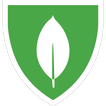 MongoDB University