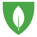 MongoDB University APK