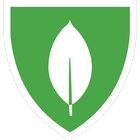 MongoDB University ícone