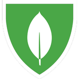 MongoDB University ícone