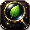 MongoLens - Mongodb Client icon