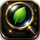 MongoLens - Mongodb Client APK