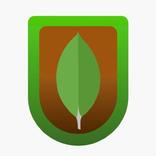 MongoDB Ally
