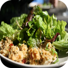 Recetas de Ensaladas ไอคอน