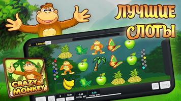 Jungle Monkey Affiche