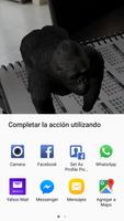 Animales Realidad Aumentada - Juegos para niños ảnh chụp màn hình 3