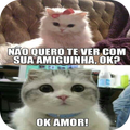 Imagens de gatinhos engraçados