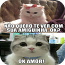 Imagens de gatinhos engraçados APK