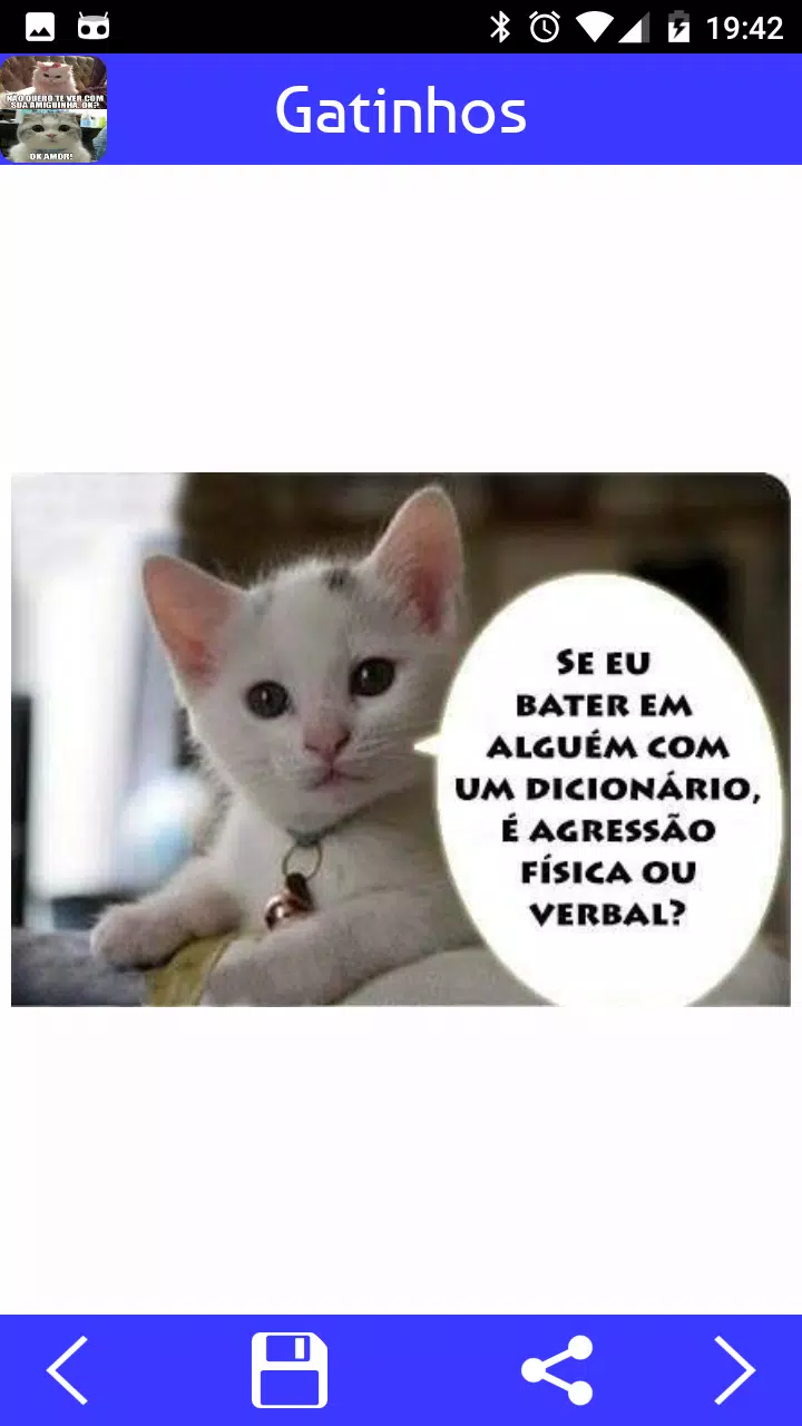 Um Jogo De Gatos Engraçados Imagem de Stock - Imagem de filhote, tubérculo:  14674357