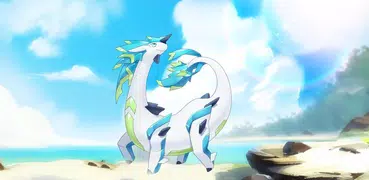 Pet Dex