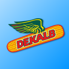 ikon DK Advisor