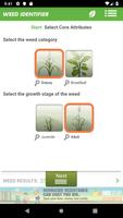 Weed ID ภาพหน้าจอ 1