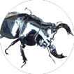 Beetle stag clash आइकन