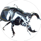 Beetle stag clash Zeichen