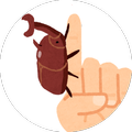 Beetle tap