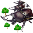 Attack on Beetle2