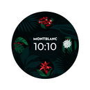 Tropical Nature Watch Face APK