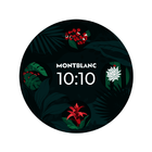 Tropical Nature Watch Face icône