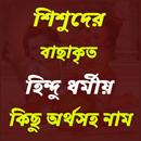 APK সনাতন ধর্মীয় নাম ও অর্থ
