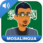 Learn Arabic Fast: Course icône