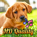 MOS - Dog Sounds