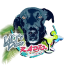 APK Mo's Place Radio