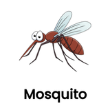 Mosquito ikona