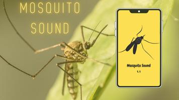 Mosquito Sounds Affiche