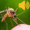 Mosquito Sound