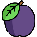 Benefit of Plum