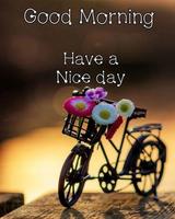 برنامه‌نما GIF Good Morning Flowers عکس از صفحه