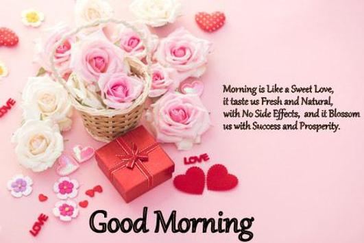 Good Morning Messages And Flower Rose Pictures Gif For Android Apk Download
