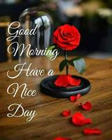 Good morning evening night messages and images Gif Plakat