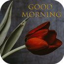 APK Good Morning Flowers Roses GIF