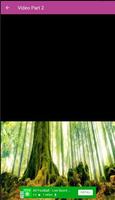 Suara Kenari Superr screenshot 1