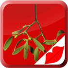 Mistletoe Kiss icon