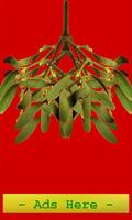 Mistletoe Kiss plakat