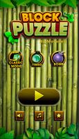 Block Puzzle 2021 پوسٹر