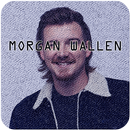 Morgan Wallen - Whiskey Glasses Song Lyrics APK