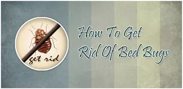 How To Get Rid Of Bed Bugs