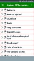 Anatomy Of The Human Brain Affiche