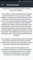 Anatomy Of The Human Brain تصوير الشاشة 2